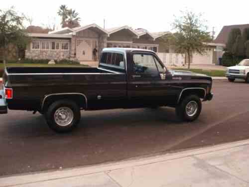 chevrolet-c-10-pick-up-1973-hi-ebayers-you-are-one-owner-cars-for-sale